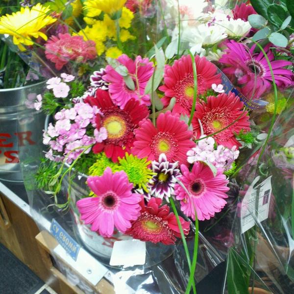 Photo taken at Trader Joe's by Jeanette H. on 6/25/2013