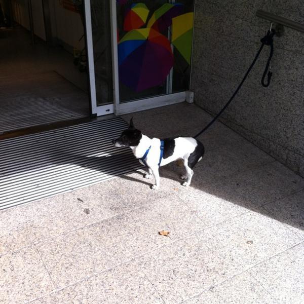 Photo taken at dm-drogerie markt by Flo on 10/17/2012