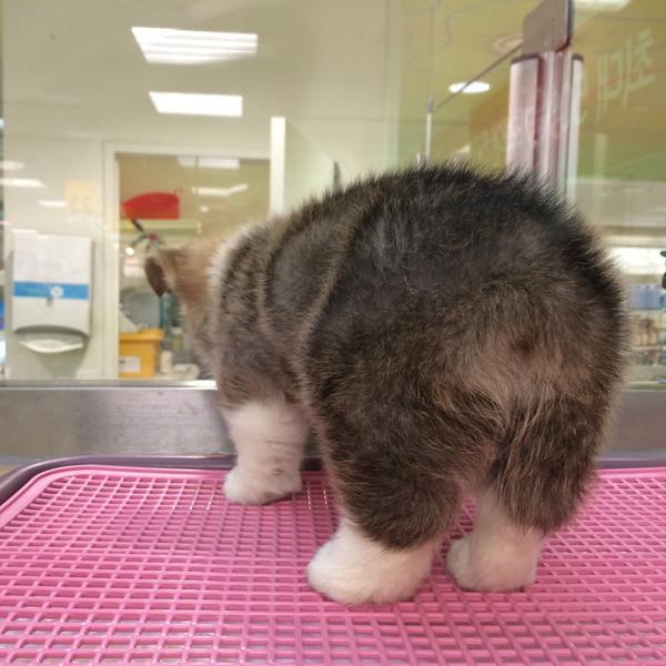 Photo taken at 이마트 (E-Mart) by Jieun Y. on 2/4/2015-京畿道城南盆塘区134易买得超市 Photo taken at 이마트 (E-Mart) by Jieun Y. on 2/4/2015