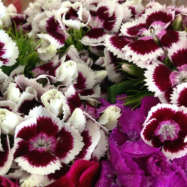 Photo taken at Trader Joe's by Stephanie M. on 6/2/2013