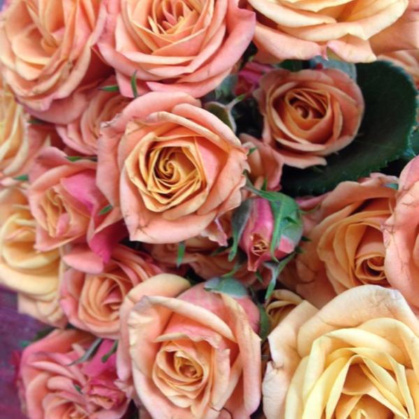 Photo taken at Trader Joe's by erin v. on 7/20/2012