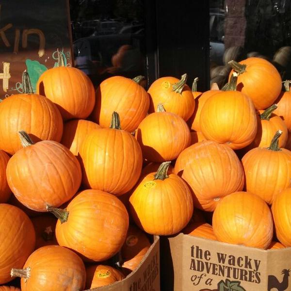 Trader Joe's乔氏连锁西雅图店