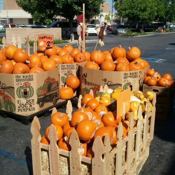 Photo taken at Trader Joe's by Courtney K. on 10/1/2011-加利福尼亚州橙色商场塔斯汀北街2114号 Photo taken at Trader Joe's by Courtney K. on 10/1/2011