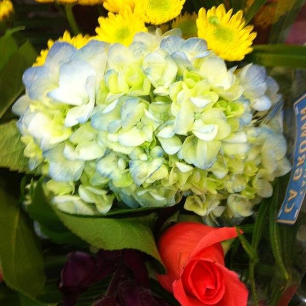 Photo taken at Trader Joe's by Carey T. on 5/7/2012