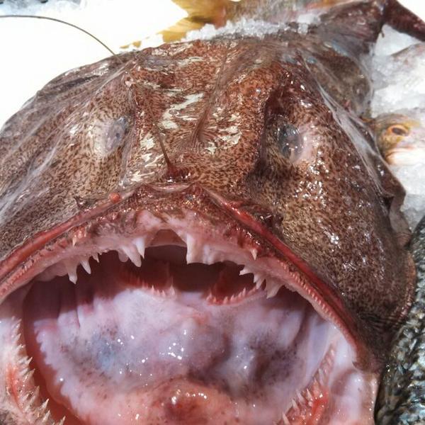 Photo taken at Whole Foods Market by Fred F. on 8/2/2013