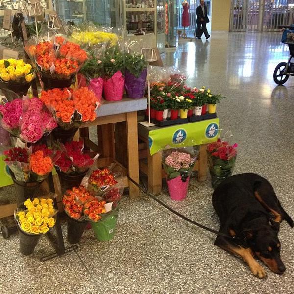 Photo taken at Loblaws by Fariba R. on 7/25/2013-加拿大多伦多圣克莱大道12圣克莱尔中心 Photo taken at Loblaws by Fariba R. on 7/25/2013