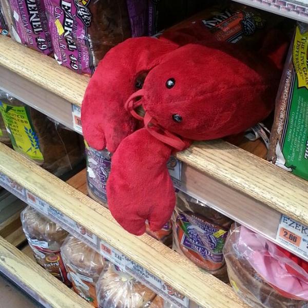 Photo taken at Trader Joe's by G R H. on 10/7/2012