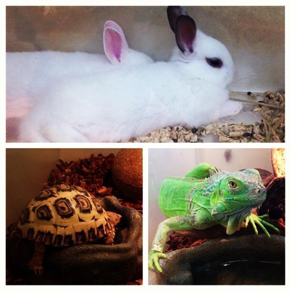 Photo taken at 이마트 / E-Mart by Andre M. on 12/14/2013-首尔特别市机场74易买得超市 Photo taken at 이마트 / E-Mart by Andre M. on 12/14/2013