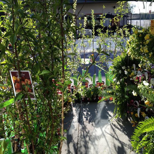 Photo taken at Whole Foods Market by Ray F. on 4/21/2013-美国纽约州扬克斯岭山道1 Photo taken at Whole Foods Market by Ray F. on 4/21/2013