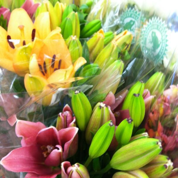 Photo taken at Trader Joe's by Flor L. on 5/24/2013-亚利桑那州斯科茨代尔弗兰克劳埃德莱特路7555号 Photo taken at Trader Joe's by Flor L. on 5/24/2013