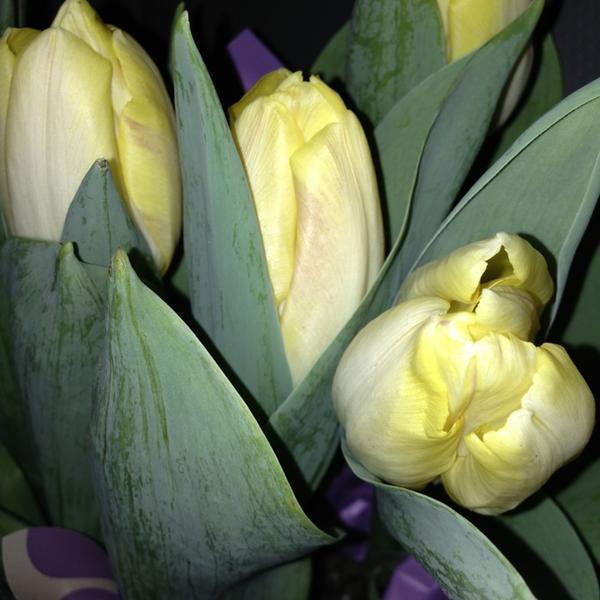 Photo taken at Trader Joe's by Brandi R. on 2/21/2013