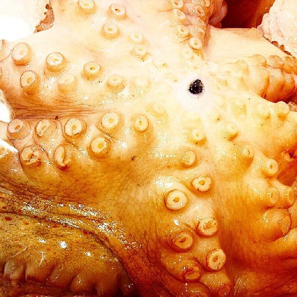 Photo taken at Coop Zola by Peter J B. on 8/29/2014