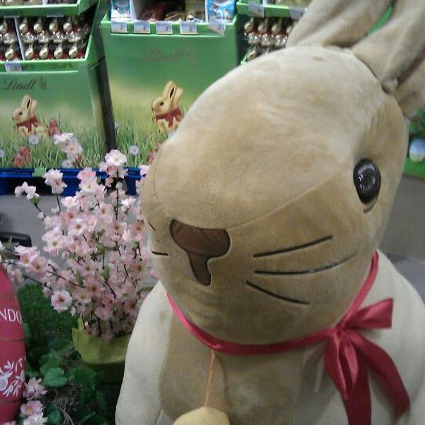 Photo taken at Billa Corso Herrnhuterhaus by Anna A. on 3/10/2012