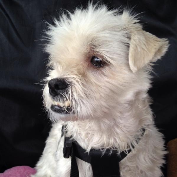 Photo taken at PLUS by Elma on 9/25/2014-荷兰弗莱福兰省阿尔梅勒维姆侃广场2号 Photo taken at PLUS by Elma on 9/25/2014