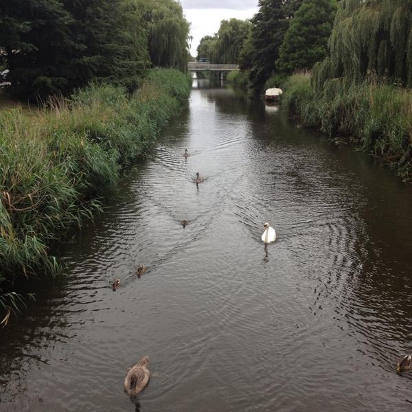 Photo taken at PLUS by Elma on 8/6/2013-荷兰弗莱福兰省阿尔梅勒维姆侃广场2号 Photo taken at PLUS by Elma on 8/6/2013