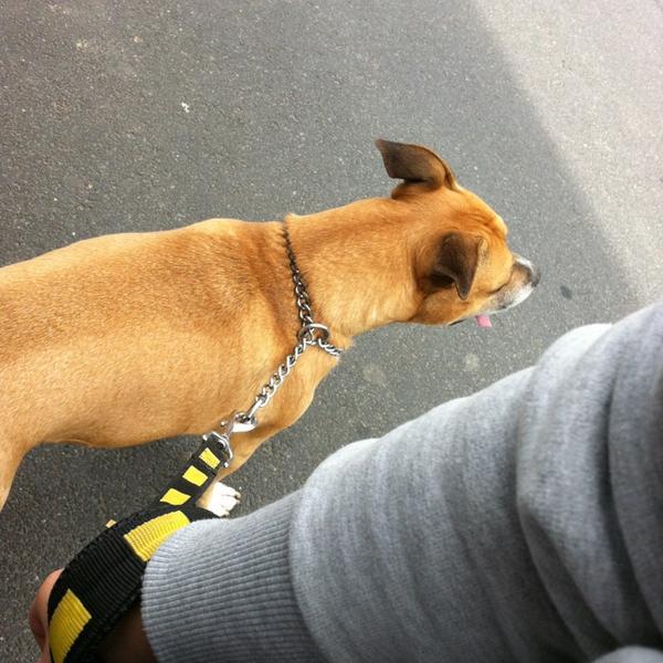 Photo taken at Proxy Delhaize by De Doncker Melissa 