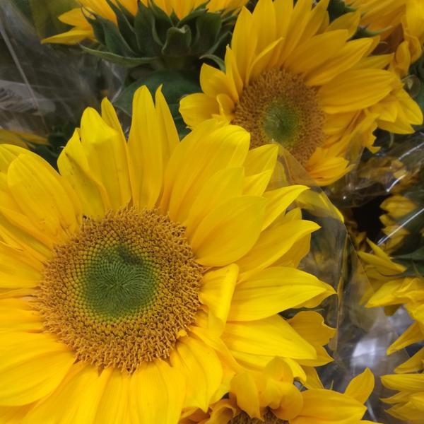 Photo taken at Trader Joe's by Gary M. on 5/14/2014-美国阿利桑那州图森格兰特路东4766 Photo taken at Trader Joe's by Gary M. on 5/14/2014