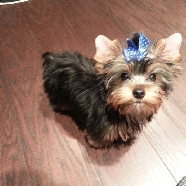 Photo taken at Trader Joe's by Nonnie C. on 8/25/2013