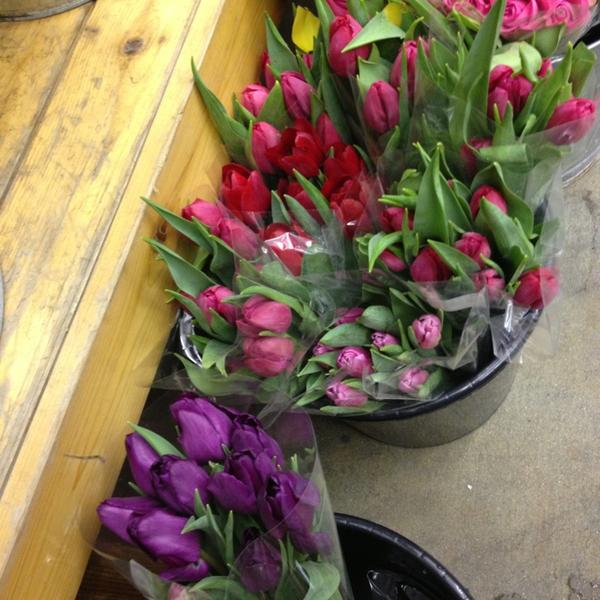 Photo taken at Trader Joe's by Jessica on 2/8/2013