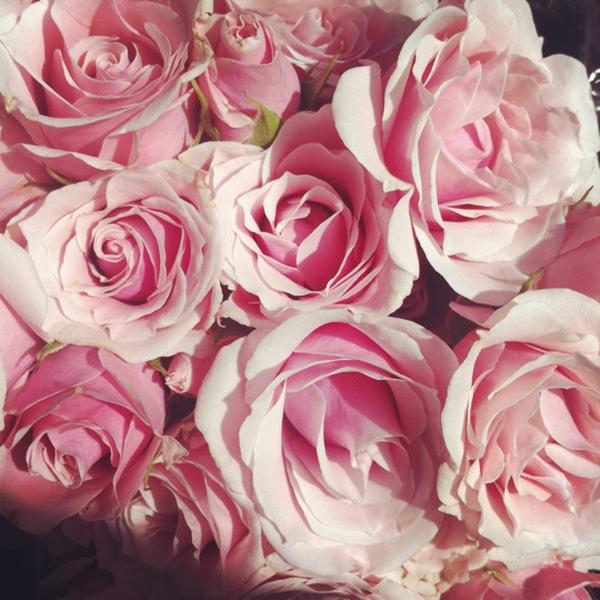 Photo taken at Trader Joe's by Jess on 9/23/2012