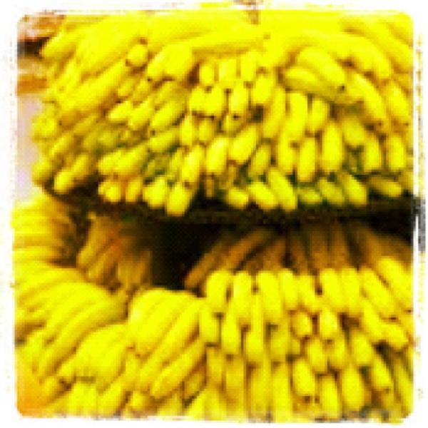 Photo taken at Trader Joe's by Hé Ré A. on 11/17/2011