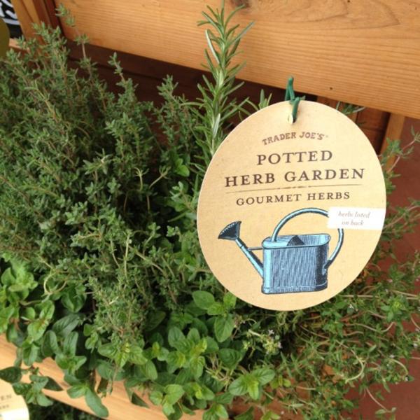 Photo taken at Trader Joe's by Christy T. on 5/31/2012