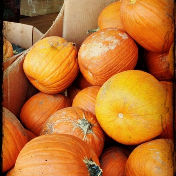 Photo taken at Trader Joe's by Katy T. on 9/22/2012-美国伊利诺斯州内珀维尔华盛顿街44 Photo taken at Trader Joe's by Katy T. on 9/22/2012