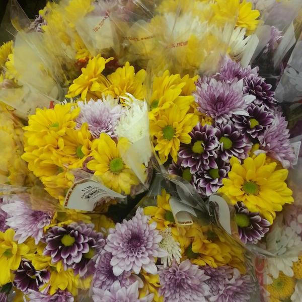 Photo taken at Trader Joe's by Shannon R. on 7/1/2013