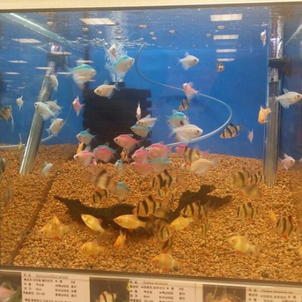 Photo taken at 롯데마트 (Lotte Mart) by Hye Kyoung J. on 4/3/2014