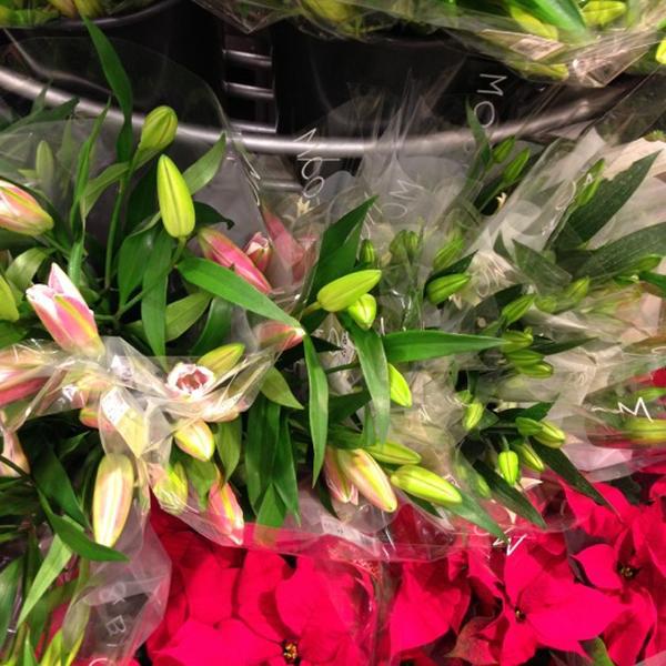 Photo taken at Waitrose by Janet B. on 12/7/2012-英国布里斯托尔赫恩利兹诺森布里亚道51 Photo taken at Waitrose by Janet B. on 12/7/2012