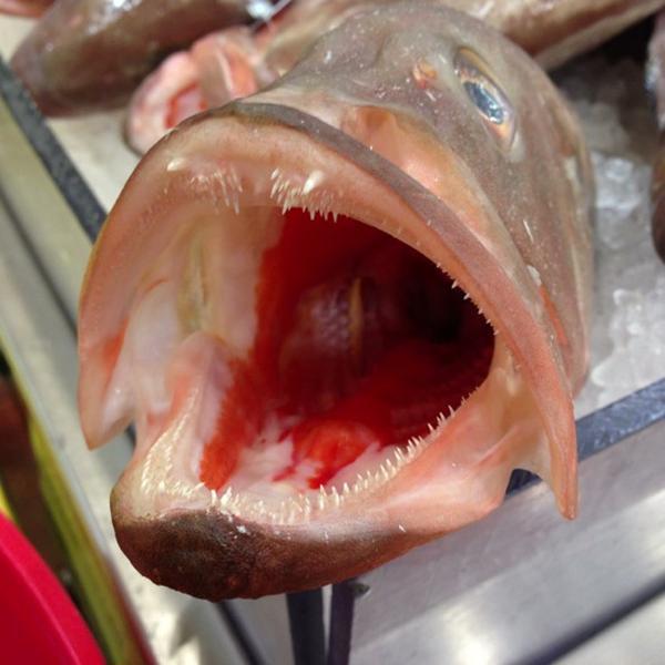 Photo taken at Whole Foods Market by Nicole B. on 12/22/2012-科罗拉多80123 利特尔顿 沃兹沃思大道南(沃兹沃斯和丽景)5155号 Photo taken at Whole Foods Market by Nicole B. on 12/22/2012