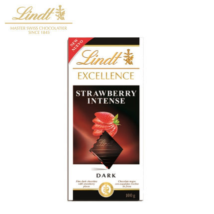 Lindt瑞士莲 特醇草莓排块黑巧克力100g休闲进口零食食品