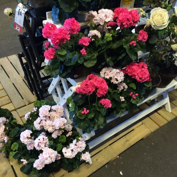 Photo taken at Maxi ICA Stormarknad Råå by Joakim J. on 8/9/2014-瑞典斯科讷省赫尔辛堡Råå中心 Photo taken at Maxi ICA Stormarknad Råå by Joakim J. on 8/9/2014