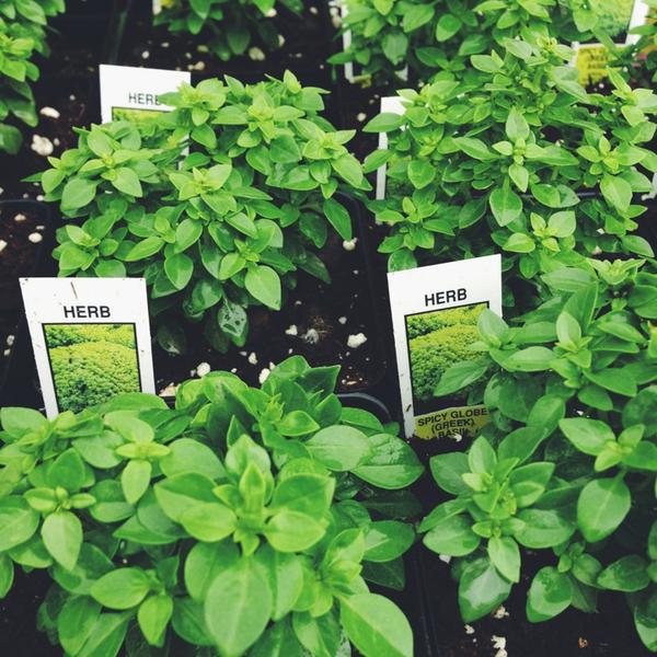 Photo taken at Whole Foods Market by Heather M. on 6/16/2013-科罗拉多科罗拉多斯普林斯学院大道7635(在集市铂) Photo taken at Whole Foods Market by Heather M. on 6/16/2013