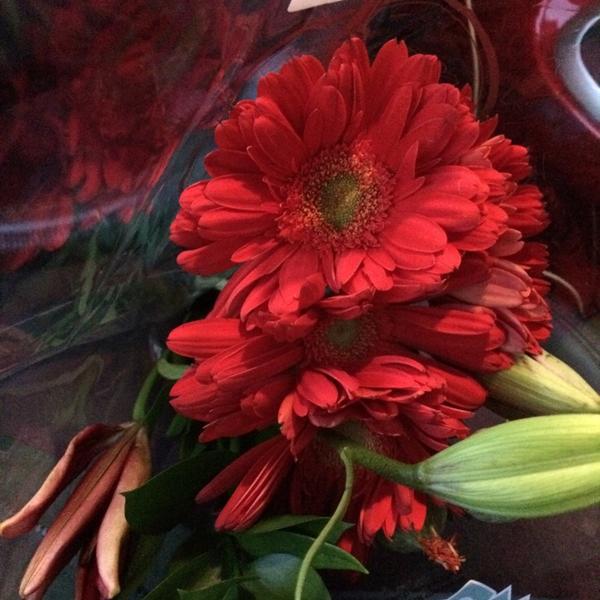 Photo taken at Trader Joe's by Mardi K. on 11/13/2014-美国康涅狄格州费尔菲尔德布莱克岩2258 Photo taken at Trader Joe's by Mardi K. on 11/13/2014