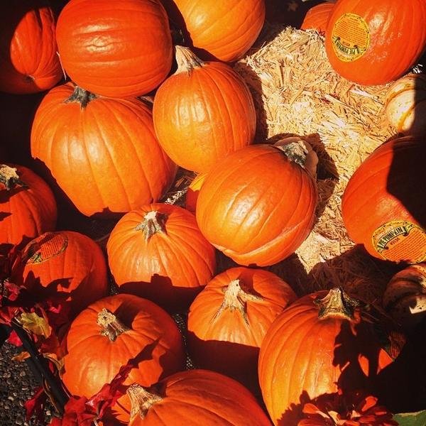 Photo taken at Trader Joe's by Kristen Jane D. on 10/14/2013-加尼福尼亚旧金山雍大街3(在吉里大道) Photo taken at Trader Joe's by Kristen Jane D. on 10/14/2013