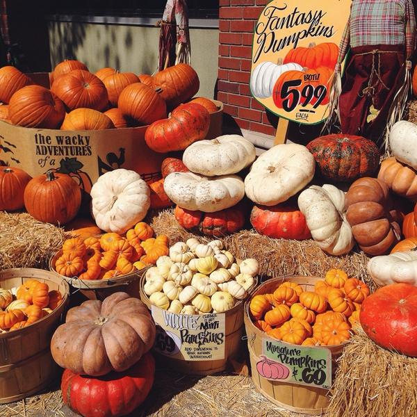 Photo taken at Trader Joe's by ✌Maryanne D. on 10/13/2014-加尼福尼亚 奇诺岗佩顿街道13911(在盛大道) Photo taken at Trader Joe's by ✌Maryanne D. on 10/13/2014