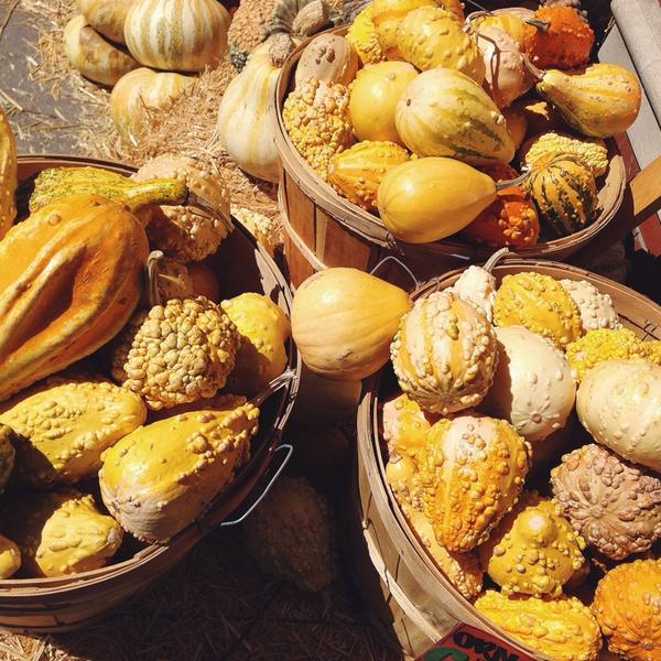 Photo taken at Trader Joe's by ✌Maryanne D. on 10/13/2014-加尼福尼亚 奇诺岗佩顿街道13911(在盛大道) Photo taken at Trader Joe's by ✌Maryanne D. on 10/13/2014