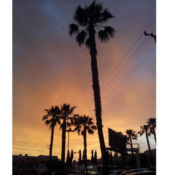 Photo taken at Whole Foods Market by Natasha G. on 5/10/2013-加尼福尼亚西好莱坞圣莫尼卡大道7871(在北费尔法克斯大道) Photo taken at Whole Foods Market by Natasha G. on 5/10/2013