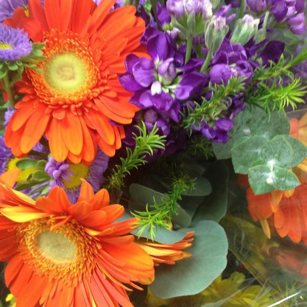 Photo taken at Trader Joe's by Kathi V. on 3/14/2013-美国华盛顿州布里恩第一大道南15868 Photo taken at Trader Joe's by Kathi V. on 3/14/2013