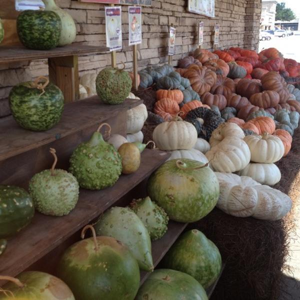 Photo taken at Whole Foods Market by Kristina N. on 10/1/2012-德克萨斯州阿灵顿拉马尔大道801号 Photo taken at Whole Foods Market by Kristina N. on 10/1/2012