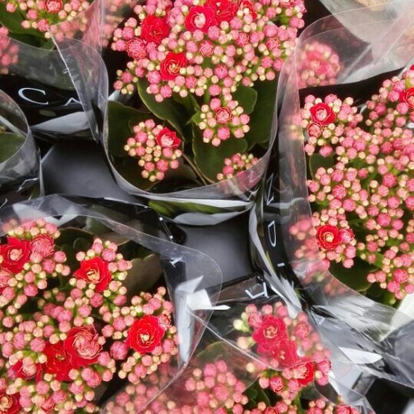 Photo taken at Colruyt by Ellis B. on 5/9/2015