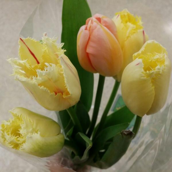 Photo taken at Trader Joe's by Gloria Z. on 5/9/2014