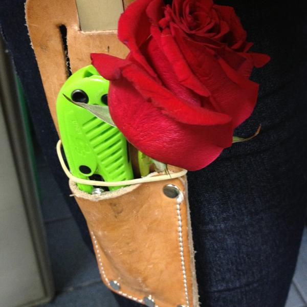 Photo taken at Trader Joe's by Sarah J. on 2/15/2013