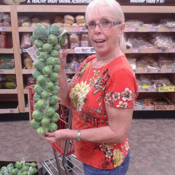 Photo taken at Trader Joe's by Bill K. on 10/13/2012-亚利桑那州凤凰城钱德勒大道4025 Photo taken at Trader Joe's by Bill K. on 10/13/2012