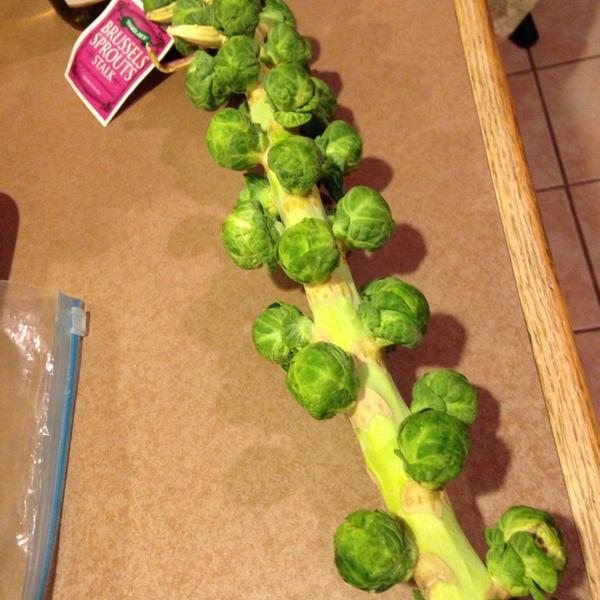 Photo taken at Trader Joe's by @ngie on 11/11/2013