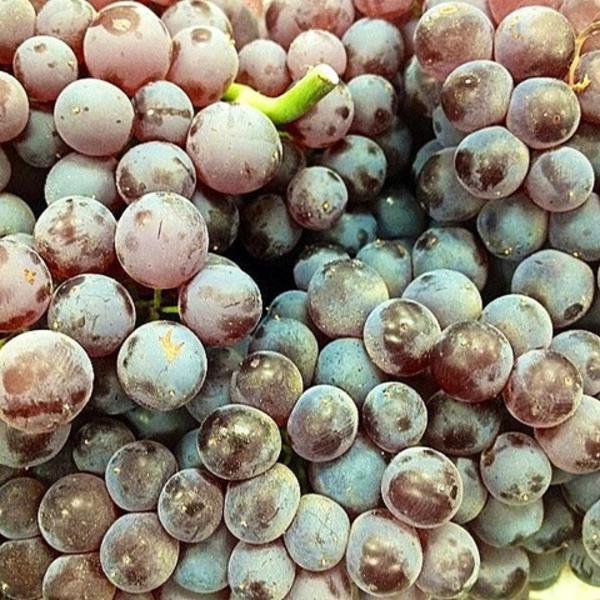 Photo taken at Trader Joe's by Michael Anthony on 7/17/2012