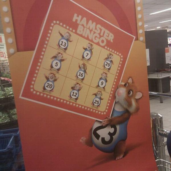 Photo taken at Albert Heijn by Mark d. on 1/5/2012-荷兰北布拉班特省范肯斯沃德走廊24号 Photo taken at Albert Heijn by Mark d. on 1/5/2012