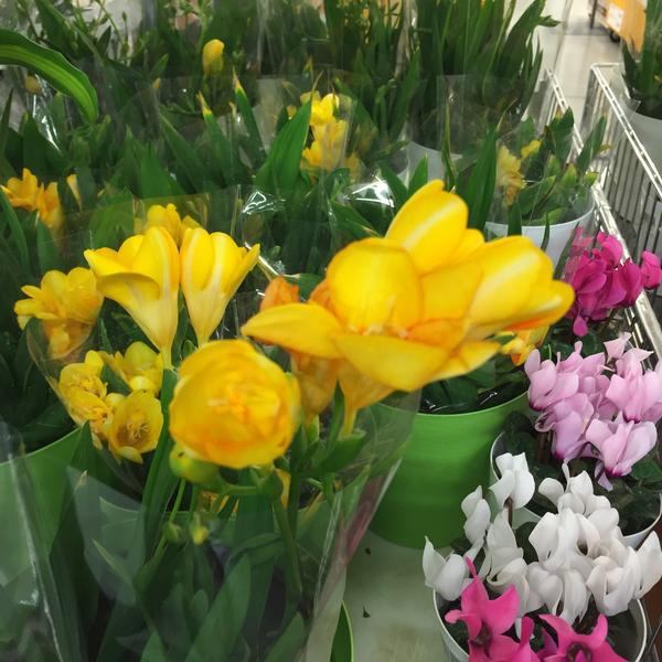 Photo taken at 이마트 (e-mart) by JINUSTAR™ on 3/29/2015