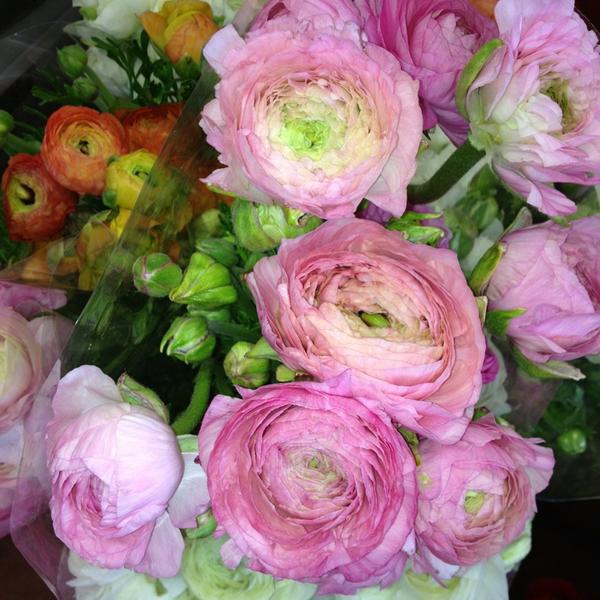 Photo taken at Trader Joe's by Kat M. on 3/19/2013